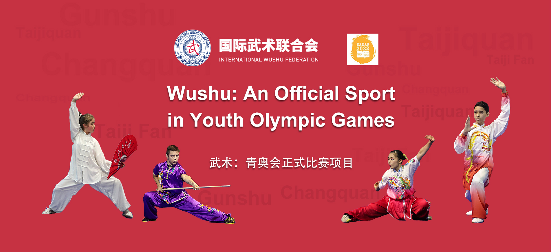 Olympics wushu Wushu kicks